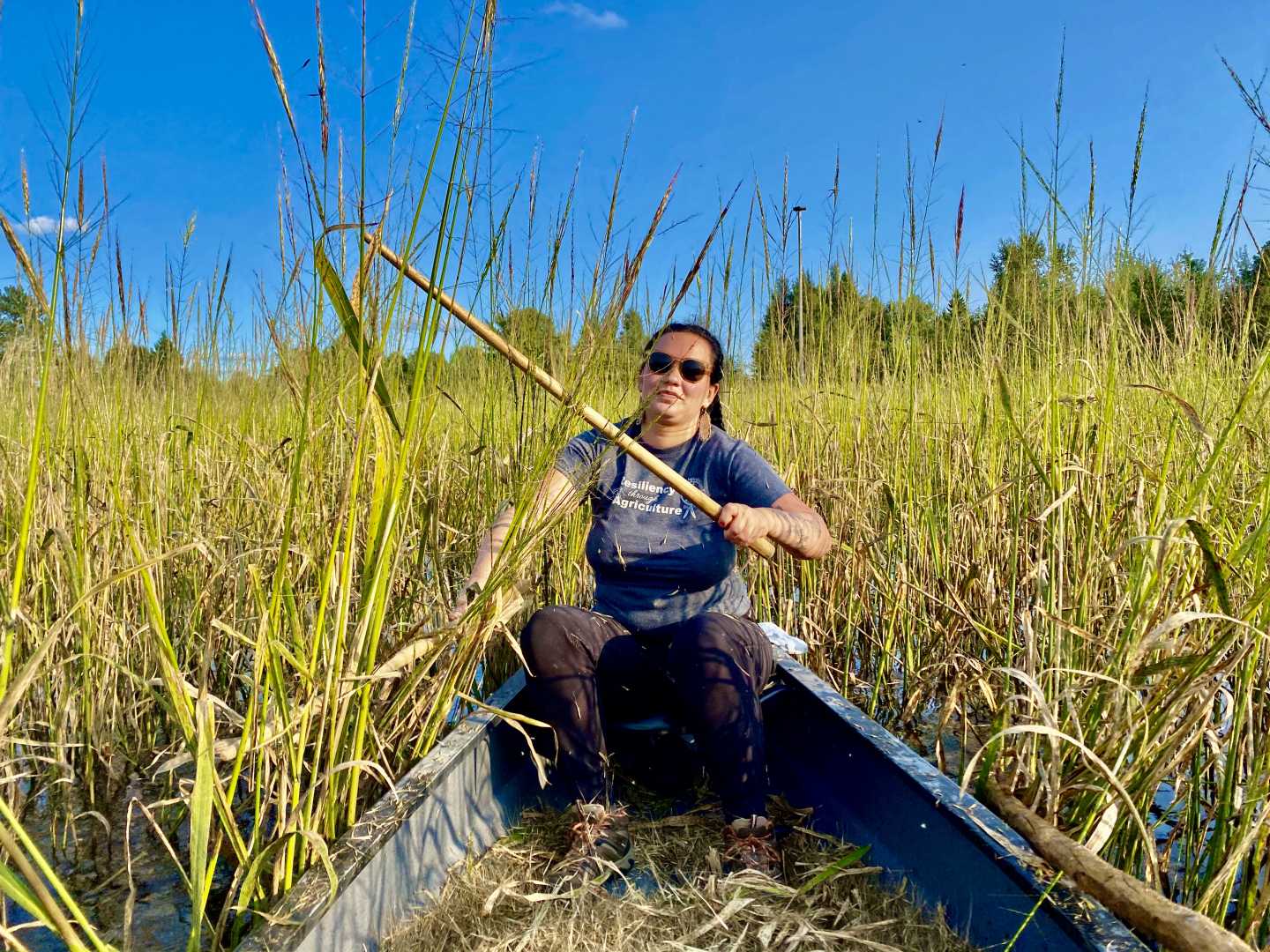 Wild Rice The Grain of the Great Lakes DelicioUS!
